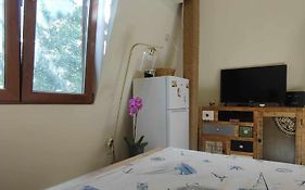 Dream Loft In The Center Of Varna